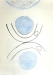 Roswitha 018.jpg