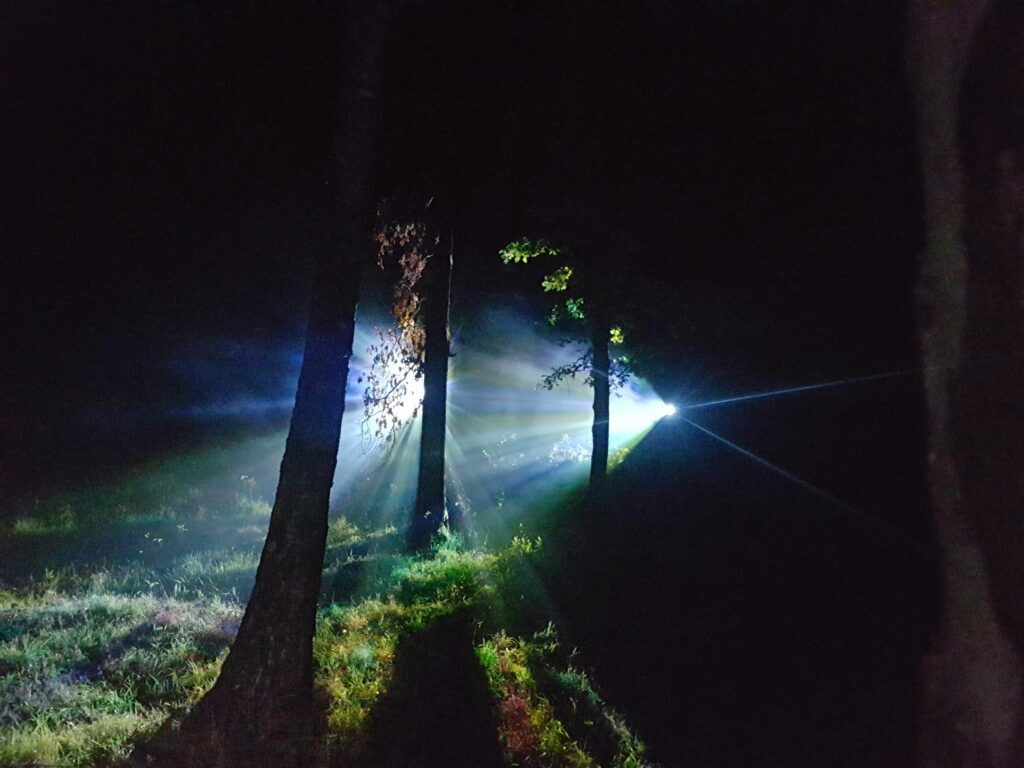 Foto auf Dibond, 20x20 cm